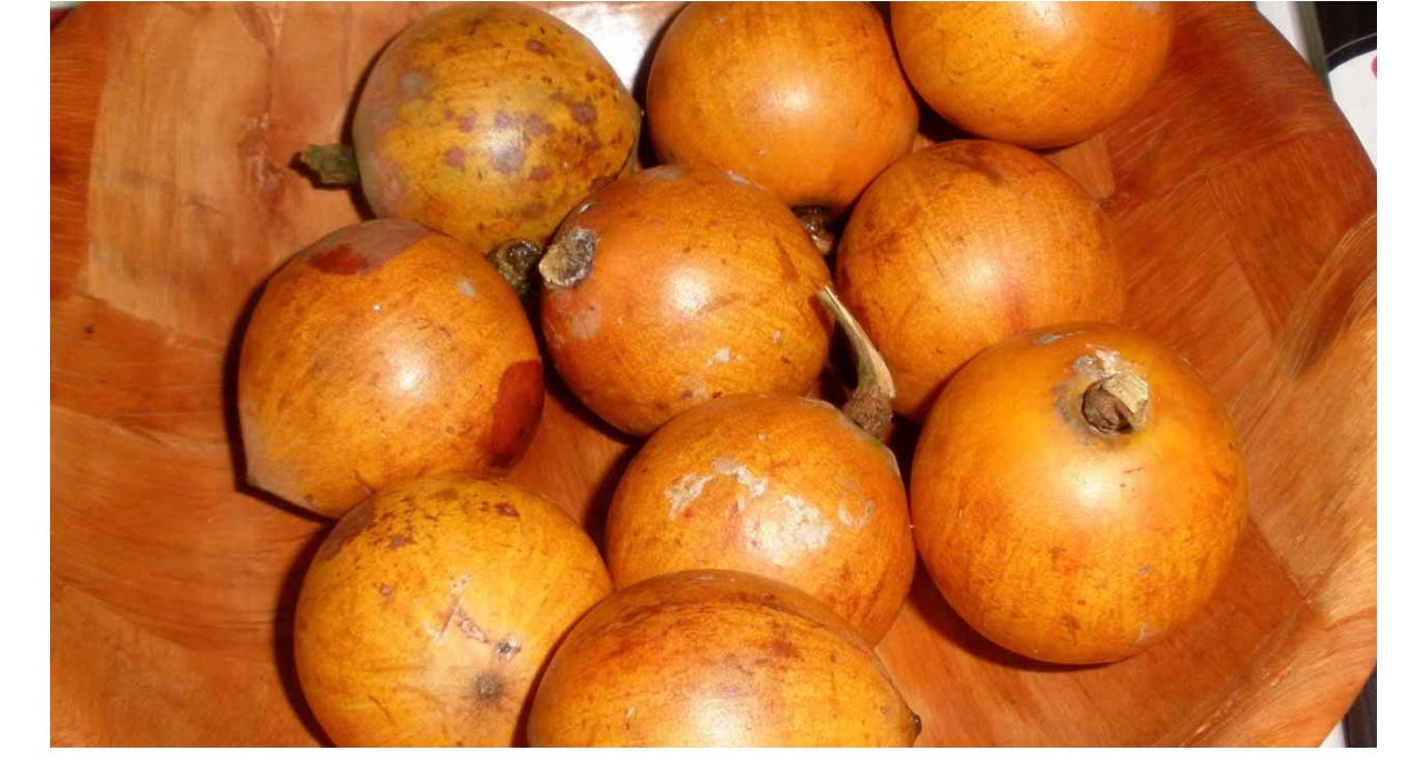 Udara/ Agbalumo/ African star apple